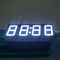 Pure Green LED Clock Display 4 digit 7 segmen Untuk Industrial Timer