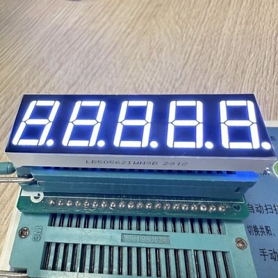 Harga yang bagus Ultra Bright White 0,56-inch 5-digit 7 Segment LED Display dengan Anode Umum untuk Pengendalian Proses on line
