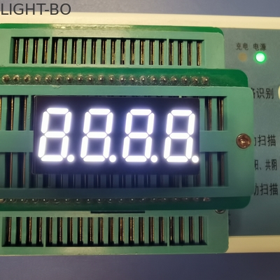 Harga yang bagus Common Cathode 0.36 