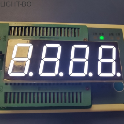 Indoor 635nm 4 Digit 0.8 